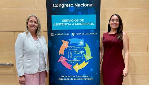 Consellera i directora insular